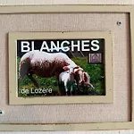 Ferienhaus L'estaou, 3 Epis, 15 Pers, 18 Couchages - Ancienne Ferme Renovee - Label Ecogite Arlempdes