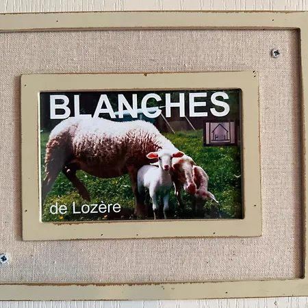 Casa de Férias L'estaou, 3 Epis, 15 Pers, 18 Couchages - Ancienne Ferme Renovee - Label Ecogite Arlempdes